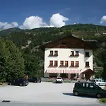 Edelweiss